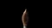 Консилер для ідеального тону обличчя Hourglass Vanish™ Airbrush Concealer Beech 6 - Medium, Yellow Undertones 0.2 oz / 6 mL - Фото 3