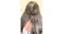 Заспокійлива Олійка для шкіри голови з розмарином Briogeo Scalp Revival™ Rosemary Pre-Wash Scalp and Hair Oil 3.4 fl.oz. / 100 mL - Фото 13