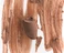 Контурний олівець - помада для губ RHODE peptide lip shape Color: bend - soft peachy beige Size: 0.75 g / 0.026 oz. - Фото 2