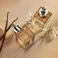 Еліксир з ваніллю NEST New York Madagascar Vanilla Perfume Oil 1 oz/ 30 mL - Фото 2