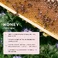 Сироватка для шкіри голови Gisou Honey Infused Scalp Treatment Serum 3.4 oz/ 100 mL - Фото 2