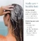 Шампунь-скраб Briogeo Scalp Revival Charcoal + Coconut Oil Micro-exfoliating Scalp Scrub Shampoo 8 oz/ 236 mL - Фото 6