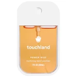 Антисептик для рук Touchland Power Mist Hydrating Hand Sanitizer Scent: Mango Passion Size 1 fl. oz. / 30 mL