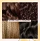 Шампунь з медом Gisou Honey Infused Hair Wash Shampoo 11.1 oz / 330 mL - Фото 10