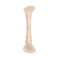 Веганський контурний пензель PATRICK TA Precision Dual Ended Sculpting Brush - Фото 5