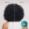 Спрей-стайлинг для волос Moroccanoil Frizz Shield Spray 5.4 oz/160 ml - Фото 6