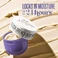Крем для тіла Sol de Janeiro Mini Brazilian Bum Bum Cream 2.5 oz / 75 mL - Фото 2