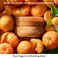 Зміцнювальний аргановий баттер Josie Maran для тіла Topless Tangerine Size: 6 oz / 177 ml - Фото 3