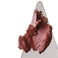 Румяна для щік та губ rhode pocket blush - sleepy girl - soft mauve Size: 5.3g / 0.18 oz. - Фото 4