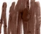 Контурний олівець - помада для губ RHODE peptide lip shape Color: stretch - neutral mocha brown Size: 0.75 g / 0.026 oz. - Фото 2